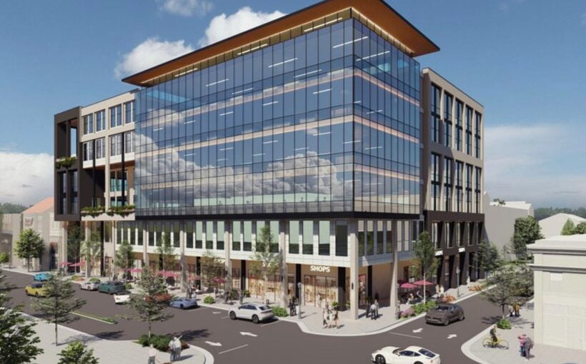 Birkdale Plaza owners what to expand shopping center