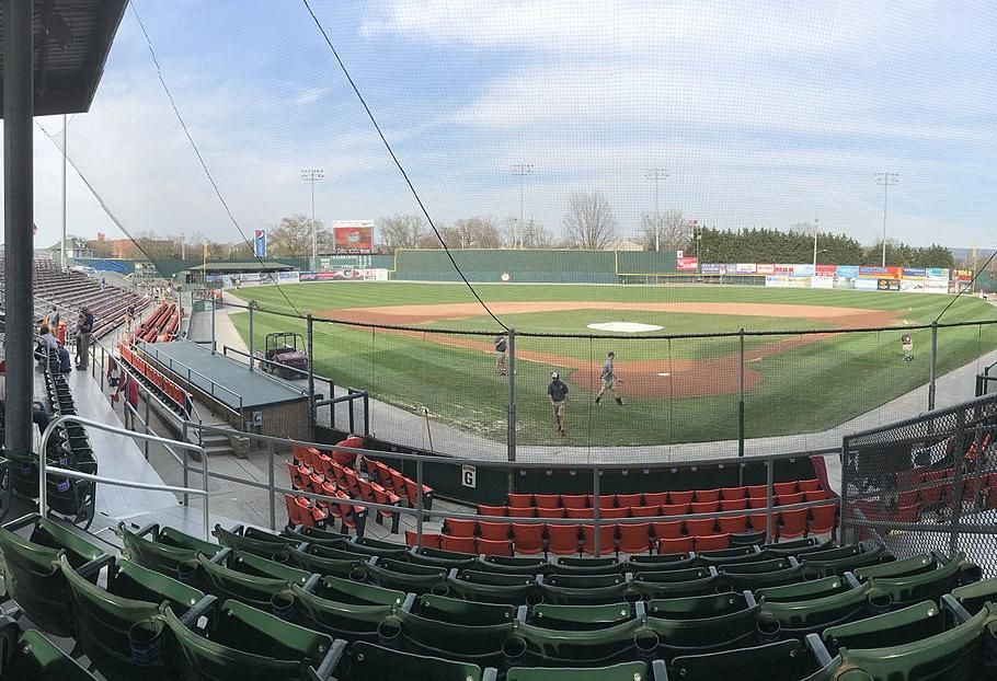 What Did Major League Baseball's Minor Leagues Reorganization Leave Behind?